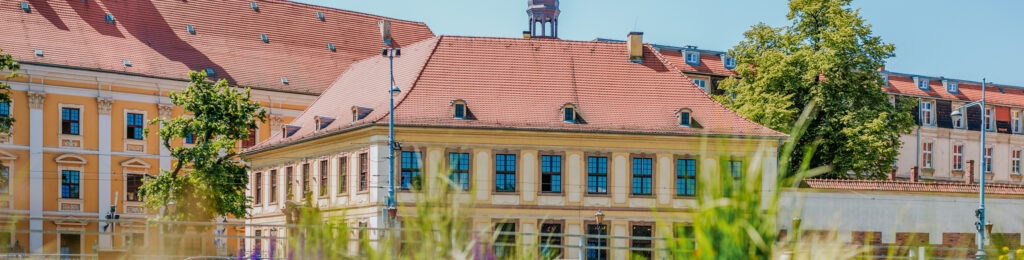 Budynki Uniwersytetu Wrocławskiego